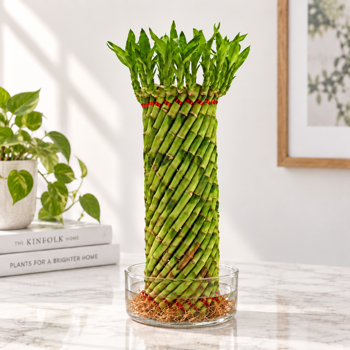 Lucky Bamboo Feng Shui Wheel
