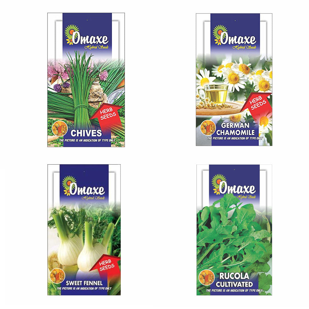 Omaxe Herb Seeds Pack of 4(Chives, Chamomile, Sweet Fennel, Rucola Leaves)