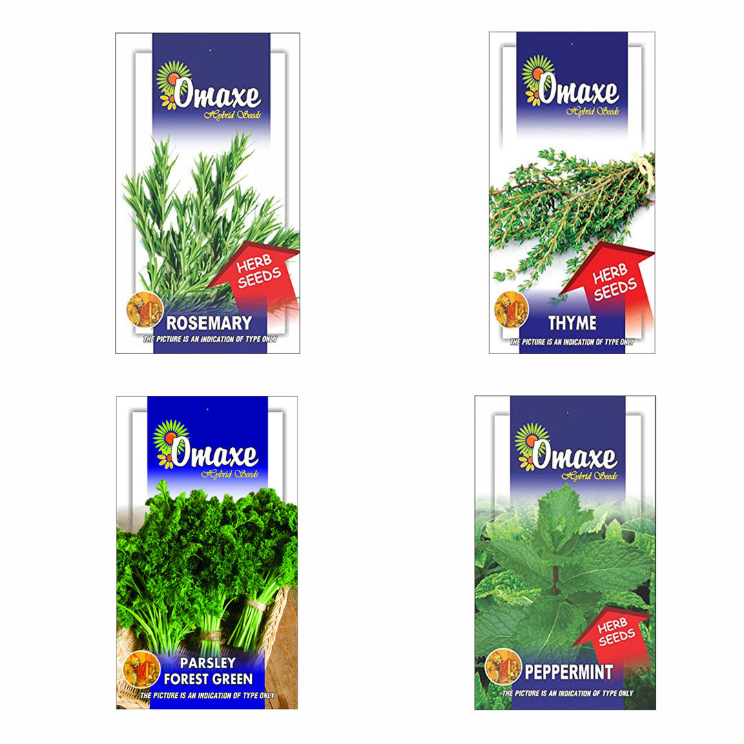 Omaxe Herb Seeds Pack of 4(Rosemary, Thyme, Parsley moss curled, Peppermint)