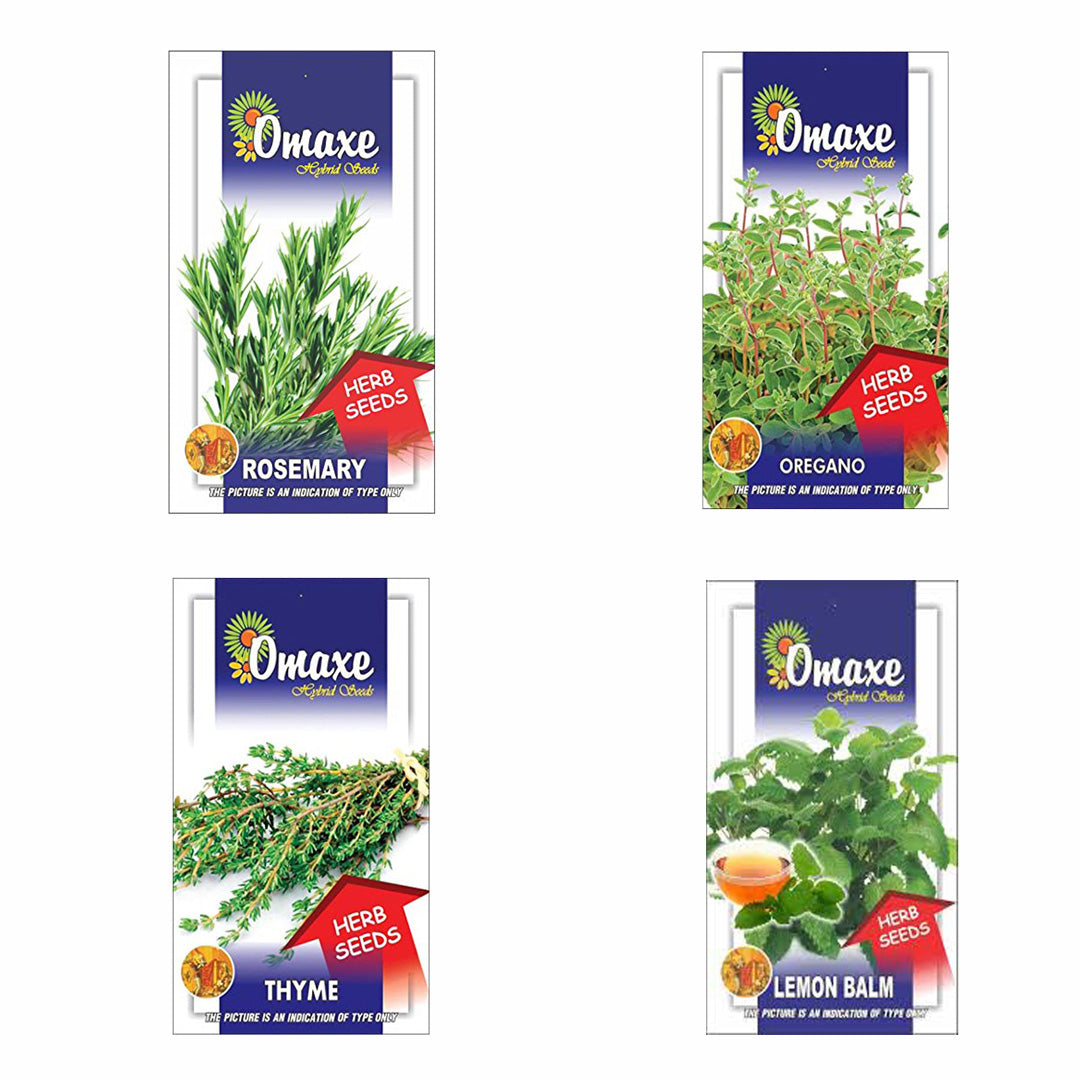 Herb Seeds Pack of 4 (Rosemary, Thyme, Lamon Balm, Oregano) - omaxe seeds
