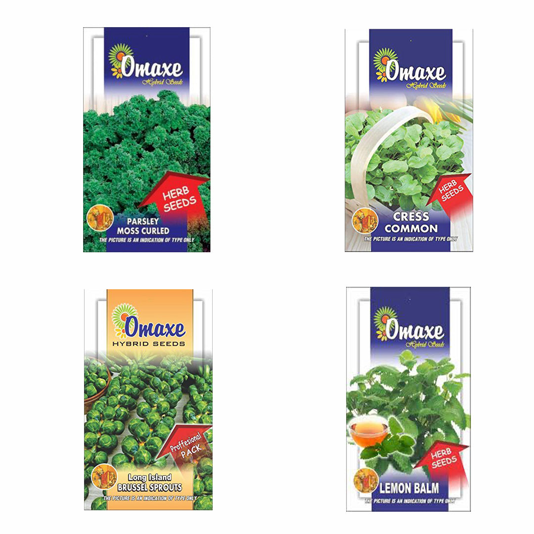 Omaxe Herb Seeds Pack of 4 (Lamon Balm, Long Island Brussel, Parsley Moss Curled, Cress Common)