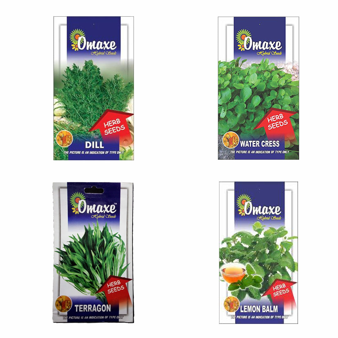 Omaxe Herb Seeds Pack of 4 (Lamon Grass, Water Cress, Terragon, Dill)