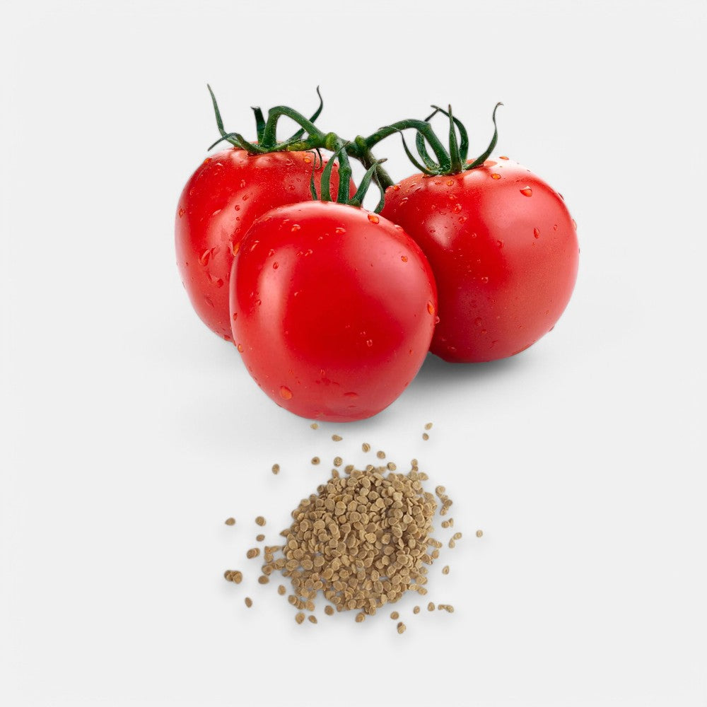 Tomato Seeds