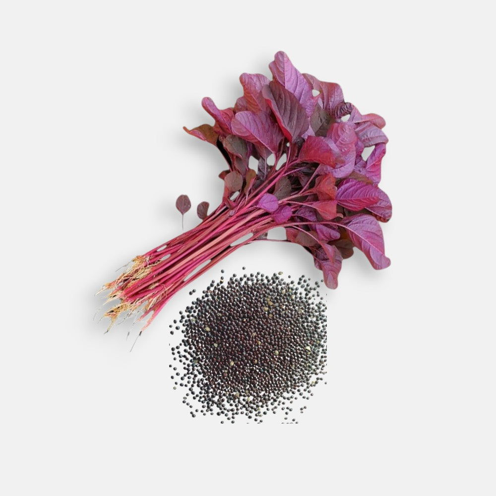 amaranth red seeds