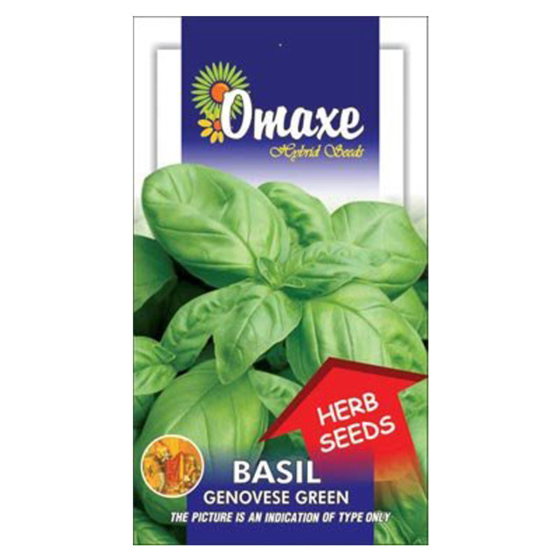 Omaxe Basil Genovese Green seeds (80-100 Seeds)