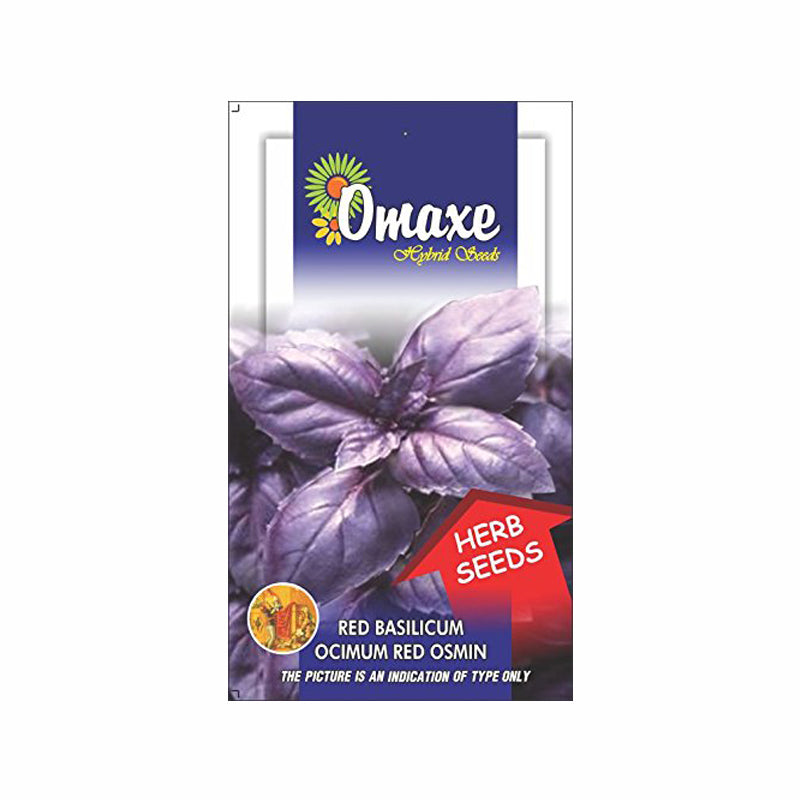 Basil Red Osmin Seeds(100 Seeds) - omaxe seeds