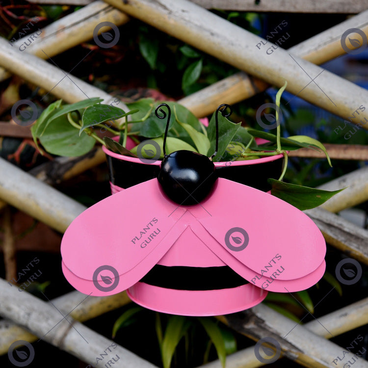 Bee Pink Metal Hook, Railing Planter