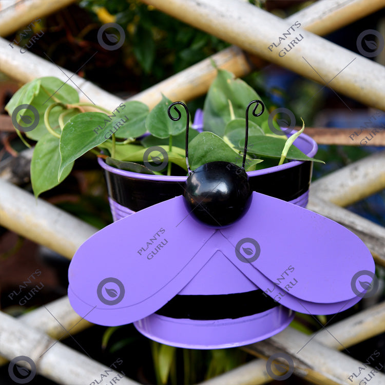 Bee Purple Metal Hook, Railing Planter