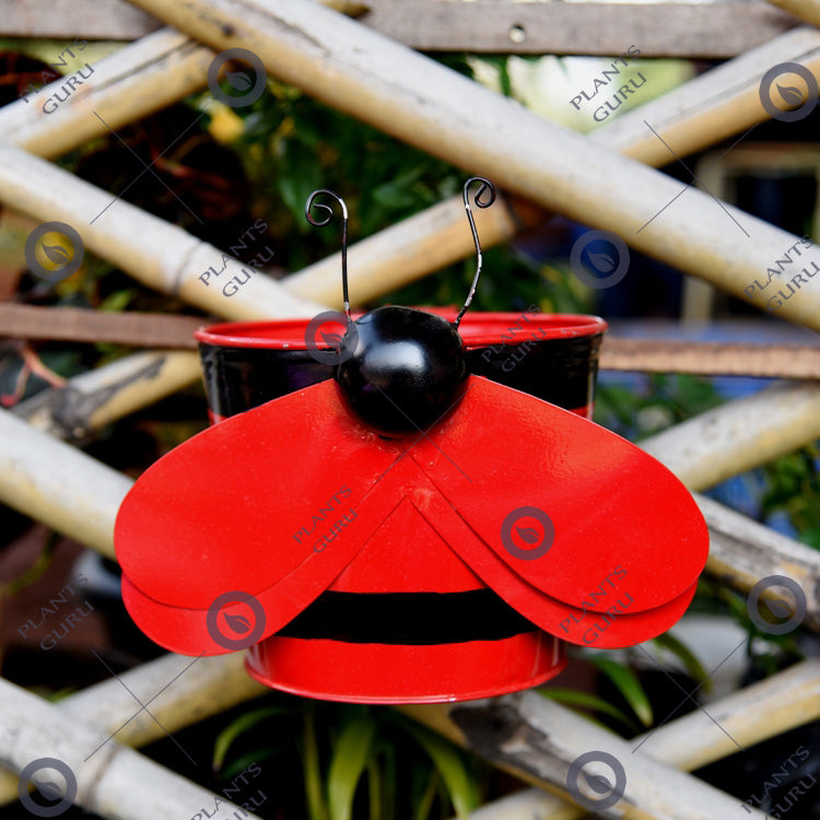 Bee Red Metal Hook, Railing Planter