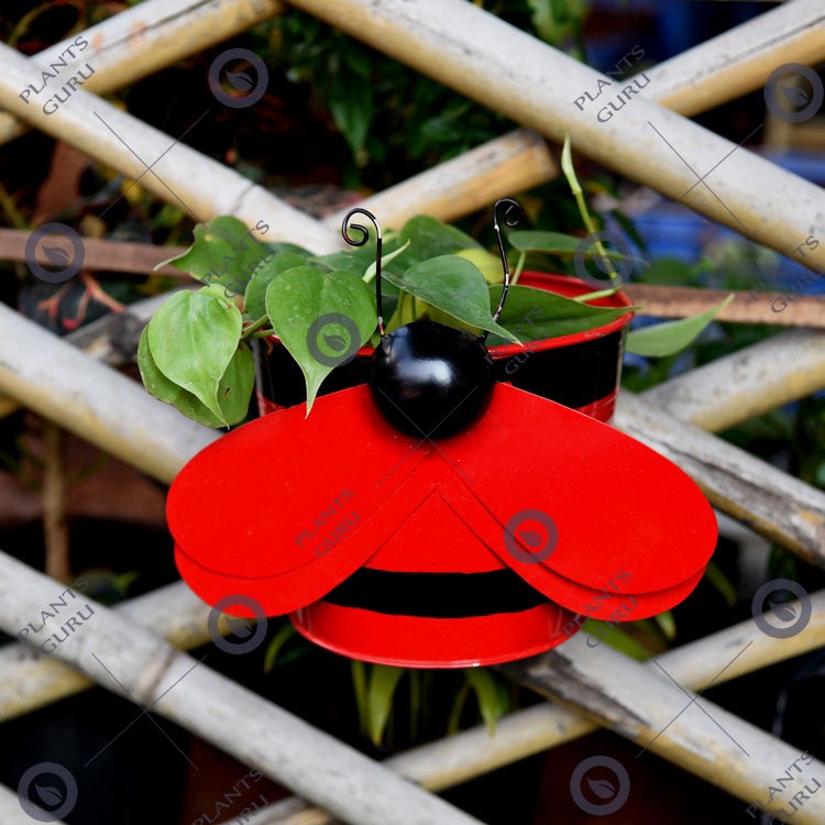 Bee Red Metal Hook, Railing Planter