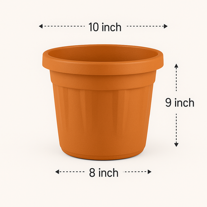 blossom garden pot 10 inch