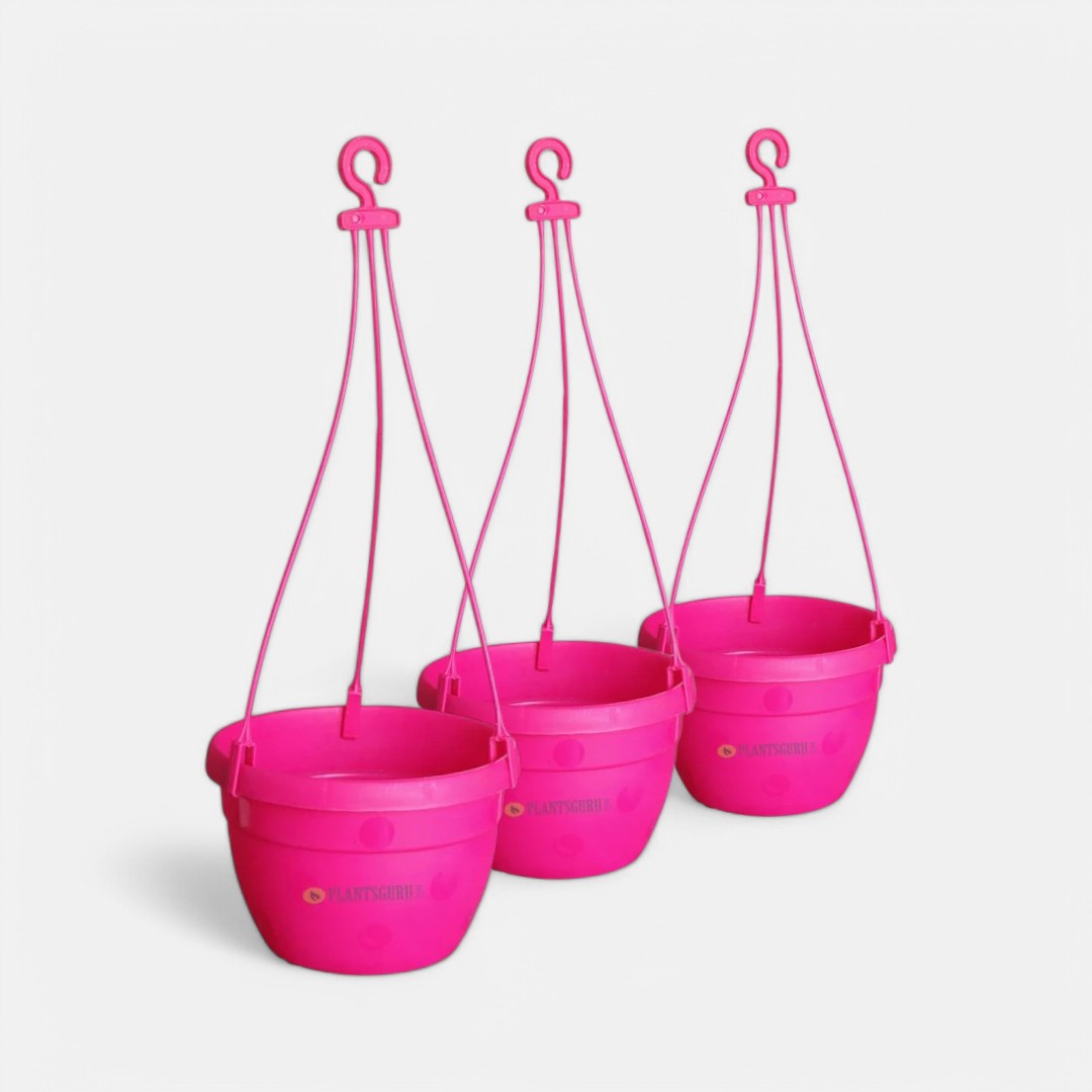 Blossom Hanging Basket Pink (Pack of 3)