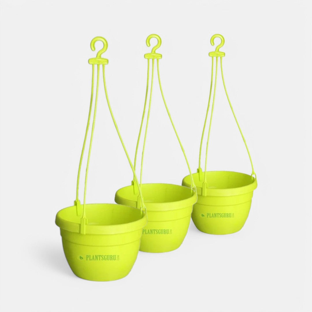Blossom Hanging Basket Yellow (Pack of 3)