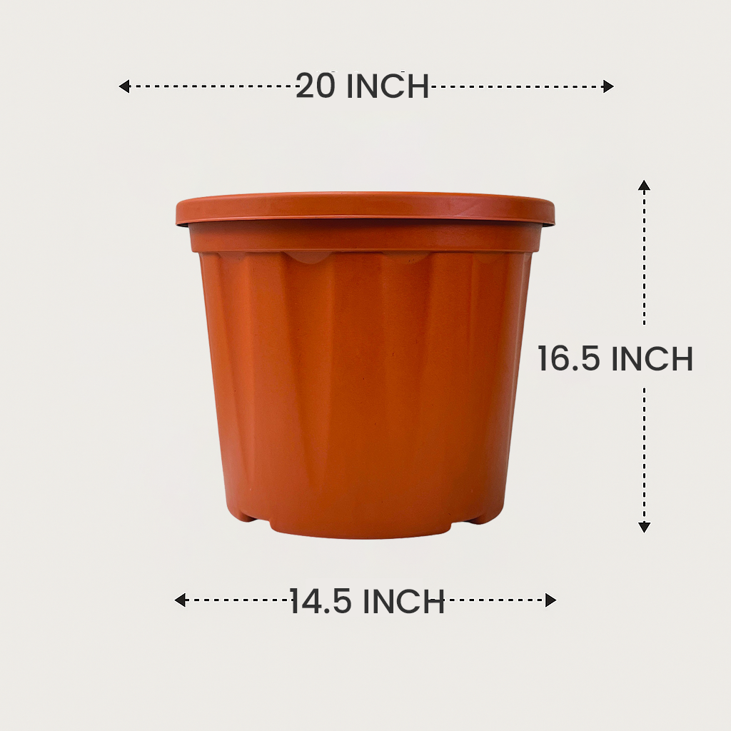 Blossom Pot 20&quot; | Pack of 5 | Heavy Duty Planter for Indoor-Outdoor Garden