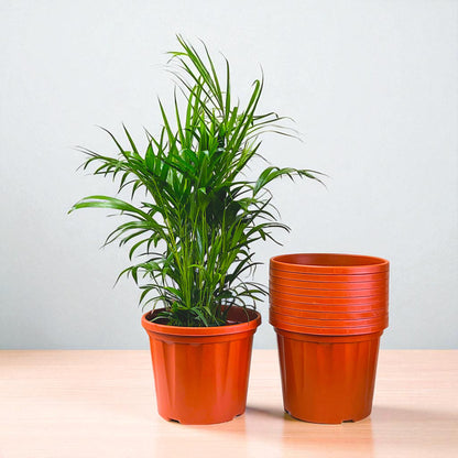 Blossom Pot 12&quot; | Pack of 10 | Heavy Duty Planter for Indoor-Outdoor Garden