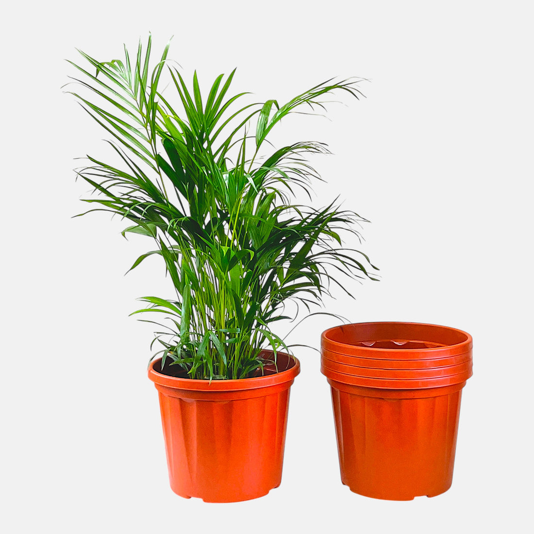 Blossom Pot 18&quot; | Pack of 5 | Heavy Duty Planter for Indoor-Outdoor Garden