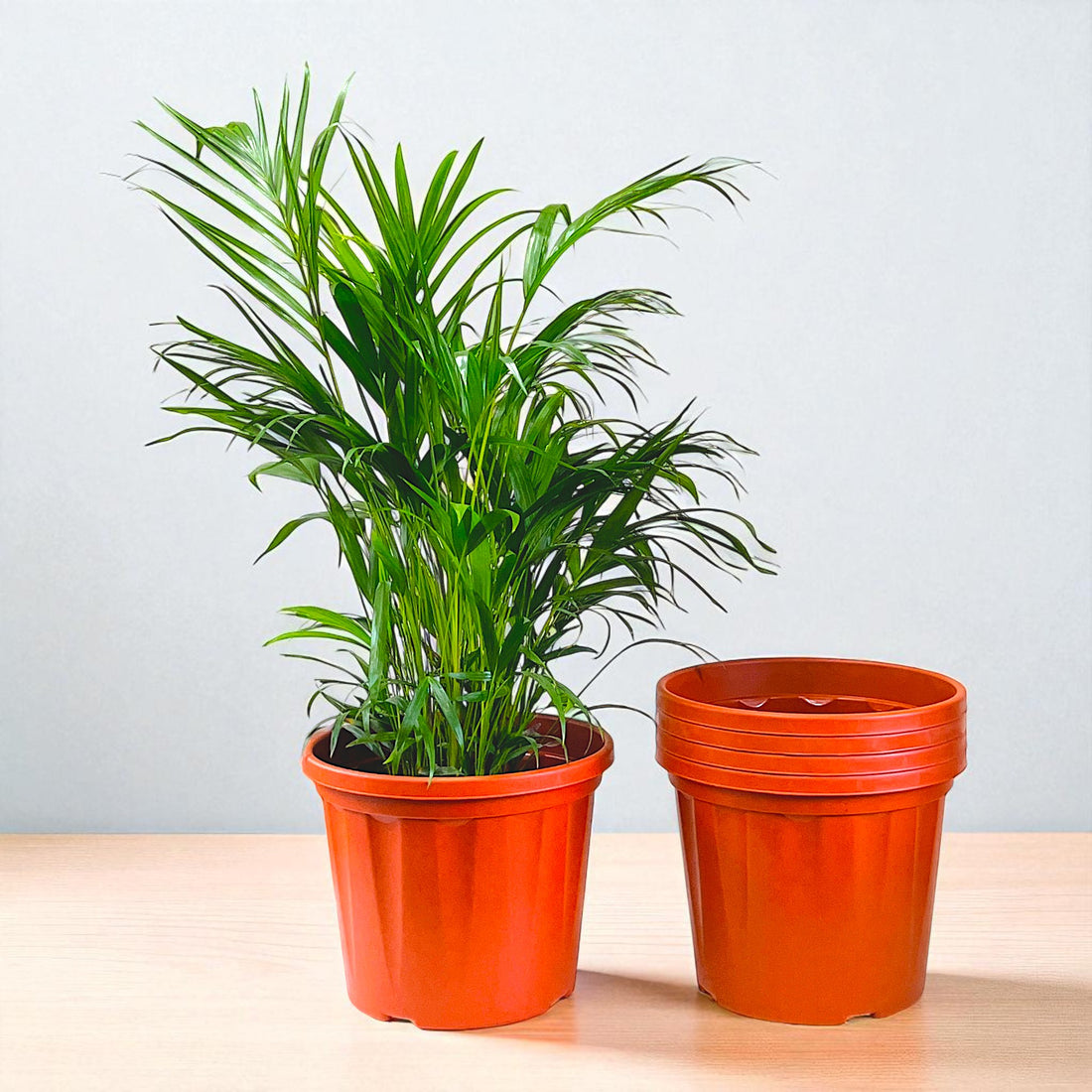 Blossom Pot 18&quot; | Pack of 5 | Heavy Duty Planter for Indoor-Outdoor Garden