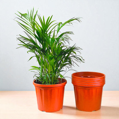 Blossom Pot 16&quot; | Pack of 5 | Heavy Duty Planter for Indoor-Outdoor Garden