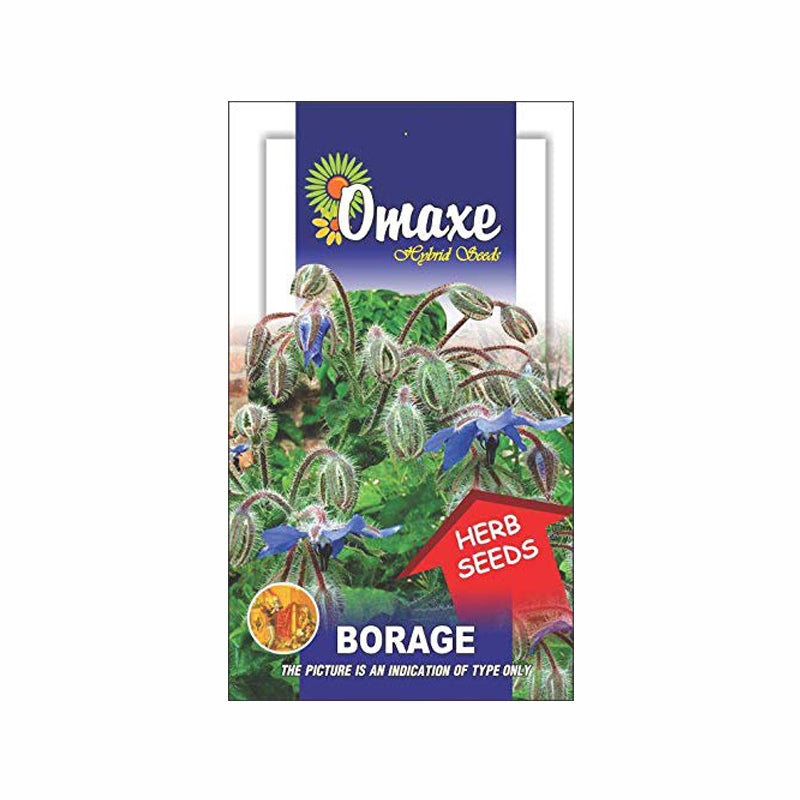 Borage Seeds (30-40 seeds) - omaxe seeds