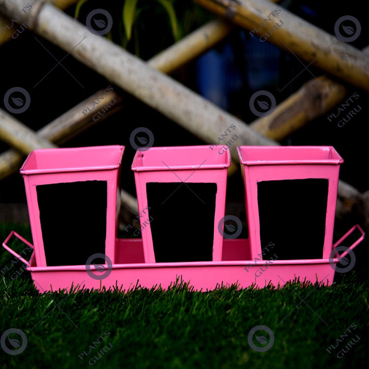 Herb Set Chalk Board Metal Planter Pink