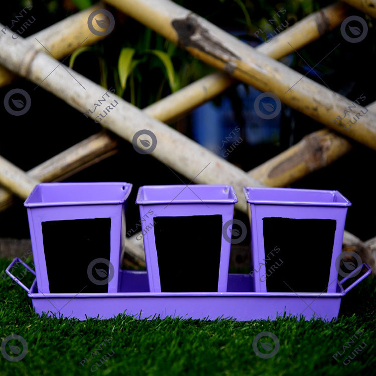 Herb Set Chalk Board Metal Planter Purple