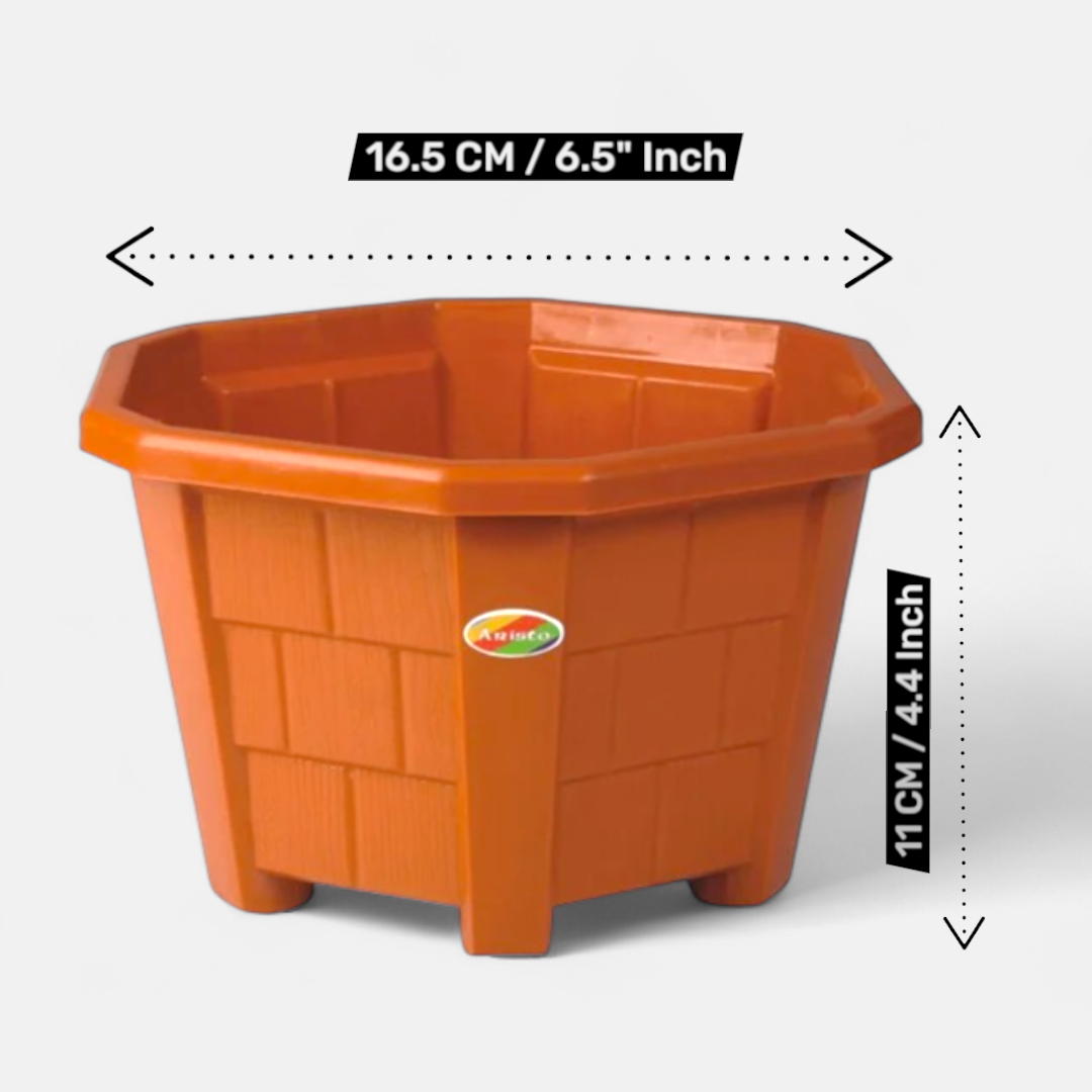 Hexa Planter No. 02 | 16.5 CM (D) X 11 CM (H) | Pack of 5 | indoor or outdoor use