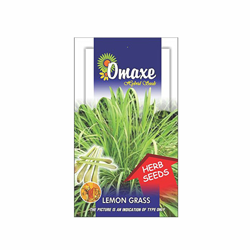 Omaxe Lemon Grass Seeds (80-100 Seeds)