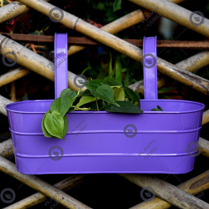 Metal Oval Railing Planter Purple