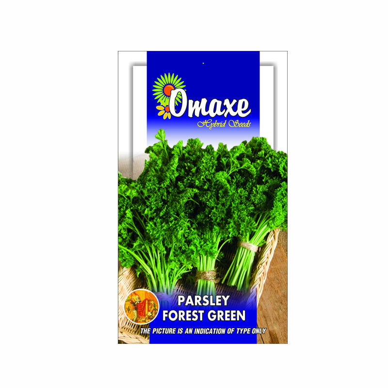 Parsley Forest Green (100 seeds) - omaxe seeds