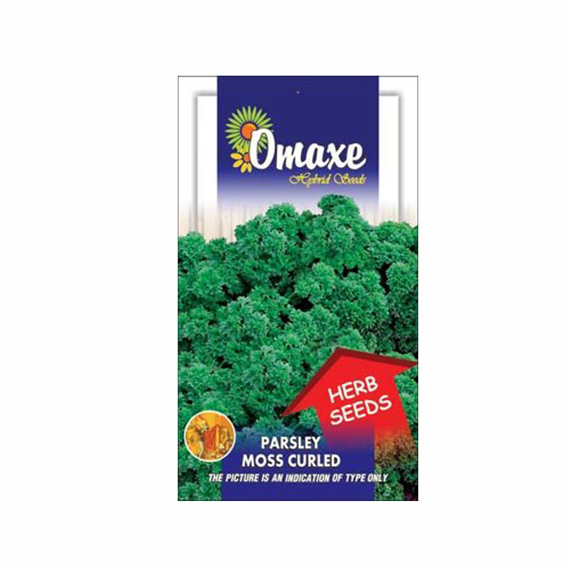 Omaxe Parsley Moss Curled Seeds