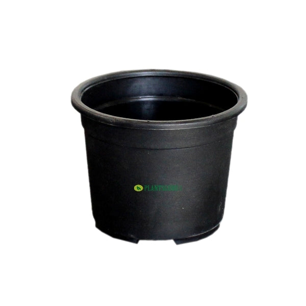 Blossom Pot Black 3 inch (Pack of 5)