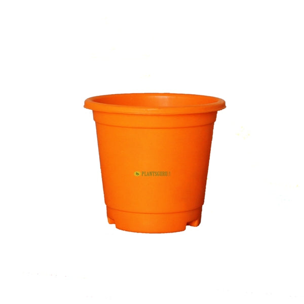 Blossom Pot Orange 6 inch with Plate(Pack of 3)