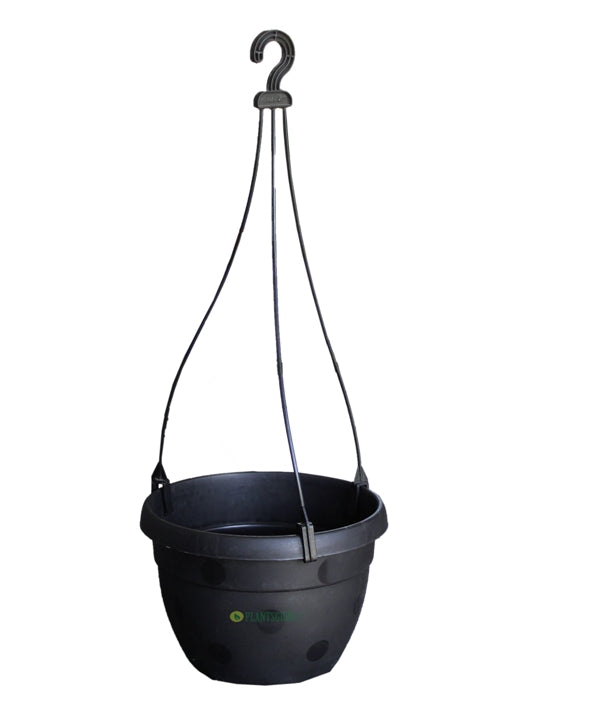 Blossom Hanging Basket Black (Pack of 3)