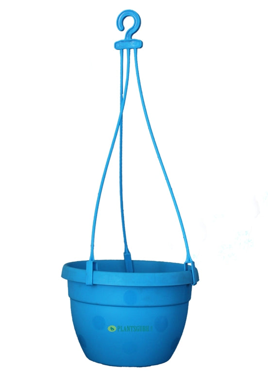 Blossom Hanging Basket Blue (Pack of 3)