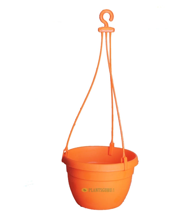 Blossom Hanging Basket Orange (Pack of 3)