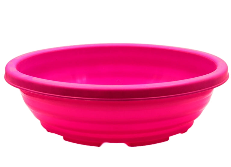 Bonsai Oval Pink 12 Inch (Pack of 2)