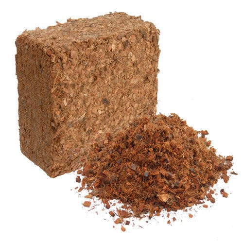 Coco Chips - 5KG Brick