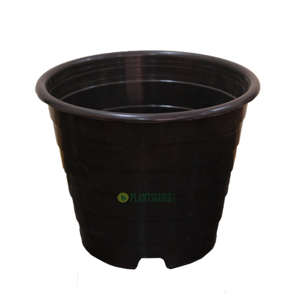 Designer Pot Black 8 inch (Pack of 2)