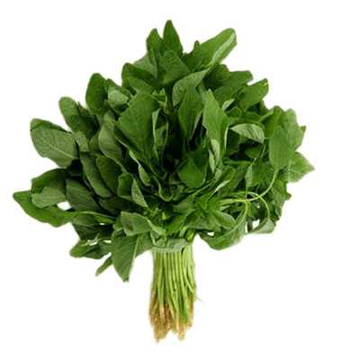 Sunrise Green Amaranthus Hybrid Seeds 6gm