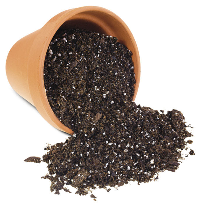 Soil - Mix of Vermicompost, coco soil, neem cake & cow dung (5Kg)