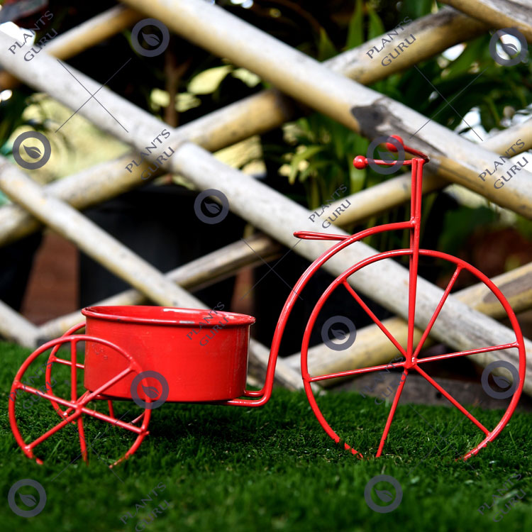 Plant Container Red Cycle