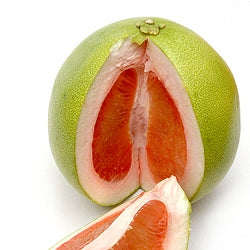 Papnus Fruit Plant - Pummelo, Citrus Maxima, Pomelo,Kambili naranga