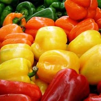 Bellpepper Misticanza (30 seeds) - omaxe seeds