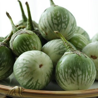 Brinjal F1 Hybrid Green Round seeds - omaxe seeds