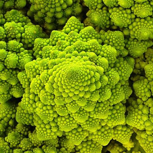 Broccoli Romanesco (50 seeds) - omaxe seeds