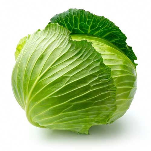 Sunrise Cabbage Hybrid Seeds 1gm