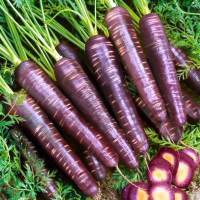 Omaxe Carrot Black Wonder (5 gm) Seeds