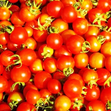 Cherry Tomato (100 seeds) - omaxe seeds