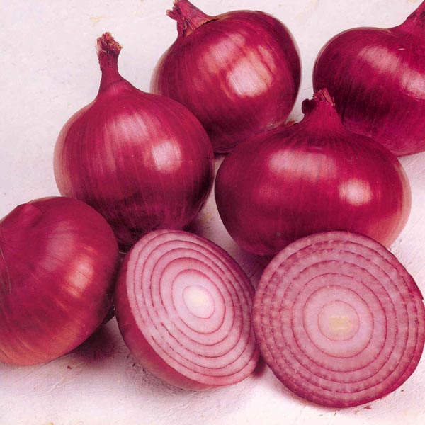 Sunrise Onion Light Red Hybrid Seeds