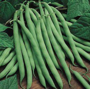 Omaxe Pole Beans Selection Amira seeds (30 Seeds)